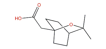 7-Cineolic acid